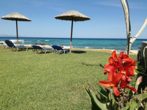 Studio Thalassa